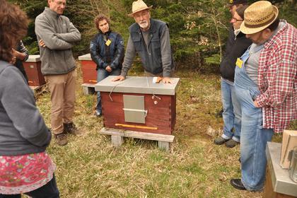 Seminar Imkern in Einraumbeuten, Seminarteilnehmer an Bienen