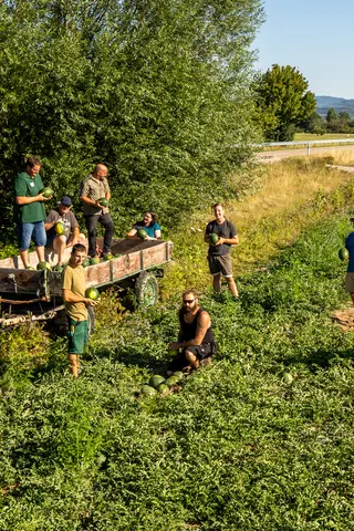 Milchauto von der Molkerei Schrozberger auf dem Weg zu Demeter-Landwirten. Foto: Vinzent Weinbeer
