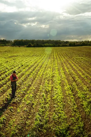 Demeter Kulturregion Ostalb. Foto: Vinzent Weinbeer