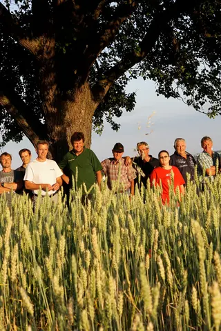 Demeter-Landwirt*innen begutachteten die Qualität der Ernte. Mit dabei: Volkmar Spielberger und Mitarbeiter*innen des Spielberger Einkaufsteams. Foto: Spielberger Mühle
