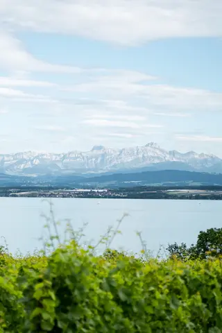 Blick auf den Bodensee mit Alpen im Hintergrund