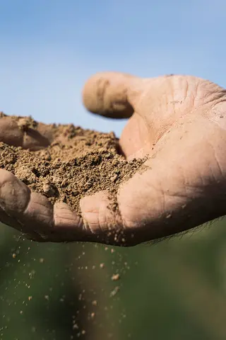 Hand hält Erde