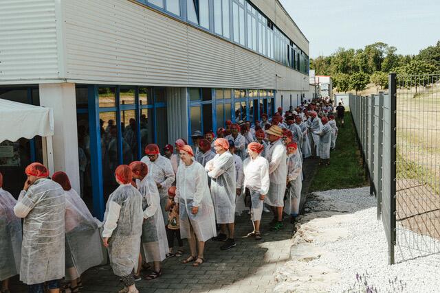 Schlange bei der Molkereibesichtigung