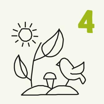 Nummer 4 Zeichnung Pflanzen und Vogel