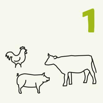 Nummer 1 Zeichnung Hahn, Schwein und Kuh