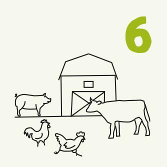 Nummer 6 Zeichnung Tiere auf einer Farm