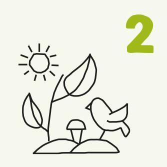 Nummer 2 Zeichnung Pflanze, Vogel und Sonne