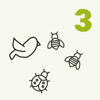 Nummer 3 Zeichnung Vogel, Bienen und Marienkäfer