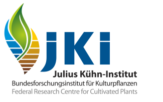Logo jKi