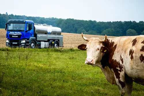 Milchauto von der Molkerei Schrozberger auf dem Weg zu Demeter-Landwirten. Foto: Vinzent Weinbeer