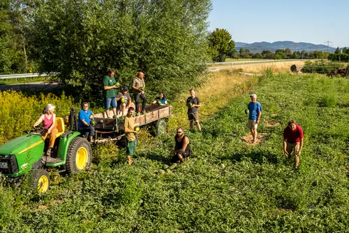 Milchauto von der Molkerei Schrozberger auf dem Weg zu Demeter-Landwirten. Foto: Vinzent Weinbeer