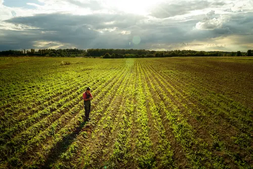 Demeter Kulturregion Ostalb. Foto: Vinzent Weinbeer