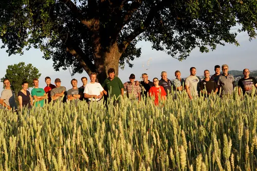 Demeter-Landwirt*innen begutachteten die Qualität der Ernte. Mit dabei: Volkmar Spielberger und Mitarbeiter*innen des Spielberger Einkaufsteams. Foto: Spielberger Mühle