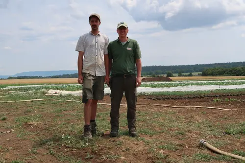 Im trockenen Sommermonat Juli 2023 auf den Gemüsefeldern der b2 Bio Gärtnerei Binsdorf: Jan Vollmer (Gärtnermeister) und Lukas Pröhmer (Gärtnergeselle), im Bild fehlt: Tobias Schmid