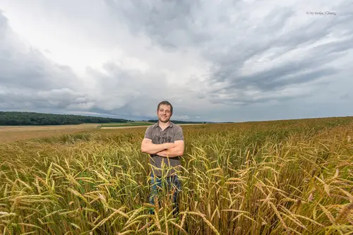 Steffen Hofmann auf dem Feld